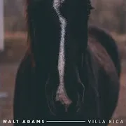 We Are Nomads